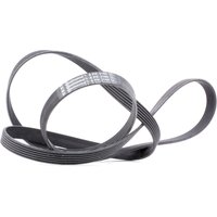 CONTITECH Keilrippenriemen 6PK2160 Rippenriemen MERCEDES-BENZ,BMW,HYUNDAI,C-Klasse Limousine (W202),C-Klasse T-modell (S202),VITO Bus (638) CONTITECH Keilrippenriemen 6PK2160 Rippenriemen MERCEDES-BENZ,BMW,HYUNDAI,C-Klasse Limousine (W202),C-Klasse T-modell (S202),VITO Bus (638) von CONTITECH