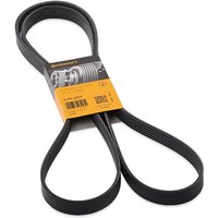 CONTITECH Keilrippenriemen 6PK2215 Rippenriemen VW,MERCEDES-BENZ,FORD,Transporter IV Bus (70B, 70C, 7DB, 7DK, 70J, 70K, 7DC, 7DJ) CONTITECH Keilrippenriemen 6PK2215 Rippenriemen VW,MERCEDES-BENZ,FORD,Transporter IV Bus (70B, 70C, 7DB, 7DK, 70J, 70K, 7DC, 7DJ) von CONTITECH
