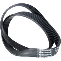 CONTITECH Keilrippenriemen 6PK842 ELAST Rippenriemen VW,AUDI,SKODA,Golf V Schrägheck (1K1),TOURAN (1T1, 1T2),GOLF VI (5K1),Polo Schrägheck (6R1, 6C1) CONTITECH Keilrippenriemen 6PK842 ELAST Rippenriemen VW,AUDI,SKODA,Golf V Schrägheck (1K1),TOURAN (1T1, 1T2),GOLF VI (5K1),Polo Schrägheck (6R1, 6C1) von CONTITECH
