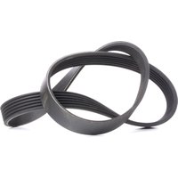 CONTITECH Keilrippenriemen 6PK923 Rippenriemen VW,AUDI,FORD,POLO (9N_),Transporter IV Bus (70B, 70C, 7DB, 7DK, 70J, 70K, 7DC, 7DJ),GOLF III (1H1) CONTITECH Keilrippenriemen 6PK923 Rippenriemen VW,AUDI,FORD,POLO (9N_),Transporter IV Bus (70B, 70C, 7DB, 7DK, 70J, 70K, 7DC, 7DJ),GOLF III (1H1) von CONTITECH