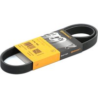 CONTITECH Keilrippenriemen 6PK962 Rippenriemen VW,OPEL,FORD,Touareg (7P5, 7P6),Crossland X (P17),GRANDLAND X (A18),Combo E Kasten / Kombi (X19) CONTITECH Keilrippenriemen 6PK962 Rippenriemen VW,OPEL,FORD,Touareg (7P5, 7P6),Crossland X (P17),GRANDLAND X (A18),Combo E Kasten / Kombi (X19) von CONTITECH
