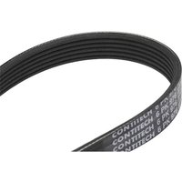 CONTITECH Keilrippenriemen 6PK976 Rippenriemen VW,FORD,SEAT,Polo Schrägheck (6R1, 6C1),GOLF III (1H1),Golf III Cabrio (1E7),SHARAN (7M8, 7M9, 7M6) CONTITECH Keilrippenriemen 6PK976 Rippenriemen VW,FORD,SEAT,Polo Schrägheck (6R1, 6C1),GOLF III (1H1),Golf III Cabrio (1E7),SHARAN (7M8, 7M9, 7M6) von CONTITECH