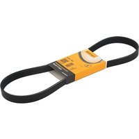 CONTITECH Keilrippenriemen 6PK995 Rippenriemen VW,AUDI,MERCEDES-BENZ,POLO (9N_),Lupo (6X1, 6E1),Fox Schrägheck (5Z1, 5Z3, 5Z4) CONTITECH Keilrippenriemen 6PK995 Rippenriemen VW,AUDI,MERCEDES-BENZ,POLO (9N_),Lupo (6X1, 6E1),Fox Schrägheck (5Z1, 5Z3, 5Z4) von CONTITECH