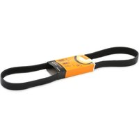 CONTITECH Keilrippenriemen 7PK1125 Rippenriemen RENAULT,NISSAN,MEGANE III Grandtour (KZ0/1),Scénic III (JZ0/1_),SCÉNIC II (JM0/1_) CONTITECH Keilrippenriemen 7PK1125 Rippenriemen RENAULT,NISSAN,MEGANE III Grandtour (KZ0/1),Scénic III (JZ0/1_),SCÉNIC II (JM0/1_) von CONTITECH