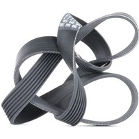 CONTITECH Keilrippenriemen 7PK1272 Rippenriemen VW,AUDI,NISSAN,Transporter IV Bus (70B, 70C, 7DB, 7DK, 70J, 70K, 7DC, 7DJ) CONTITECH Keilrippenriemen 7PK1272 Rippenriemen VW,AUDI,NISSAN,Transporter IV Bus (70B, 70C, 7DB, 7DK, 70J, 70K, 7DC, 7DJ) von CONTITECH
