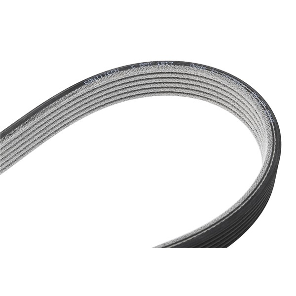 CONTITECH Keilrippenriemen BMW 6DPK1817 6DPK1819,11287800345,11288574958 Rippenriemen 6DPK1816,8506994,8512069,8574958,6DPK1815,6DPK1817,11288506994 CONTITECH Keilrippenriemen BMW 6DPK1817 6DPK1819,11287800345,11288574958 Rippenriemen 6DPK1816,8506994,8512069,8574958,6DPK1815,6DPK1817,11288506994 von CONTITECH