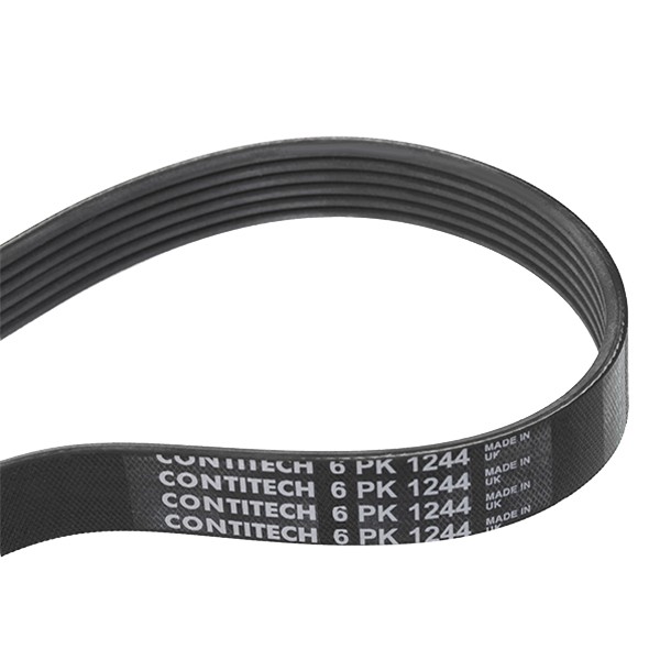 CONTITECH Keilrippenriemen OPEL,FORD,FIAT 6PK1244 55566903,5750YX,1683960 Rippenriemen 5000678543,6PK1245,6PK1243,SU001A2685,5001862959,55566905 CONTITECH Keilrippenriemen OPEL,FORD,FIAT 6PK1244 55566903,5750YX,1683960 Rippenriemen 5000678543,6PK1245,6PK1243,SU001A2685,5001862959,55566905 von CONTITECH