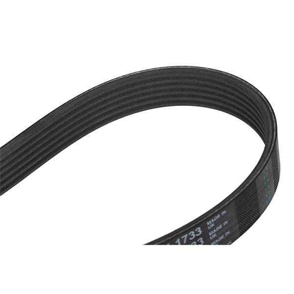 CONTITECH Keilrippenriemen VW,AUDI,FORD 6PK1733 55186364,11281437369,46444537 Rippenriemen 9008091199,6PK1733,65968200003,9091602559,5750W0,6Q0260849 CONTITECH Keilrippenriemen VW,AUDI,FORD 6PK1733 55186364,11281437369,46444537 Rippenriemen 9008091199,6PK1733,65968200003,9091602559,5750W0,6Q0260849 von CONTITECH
