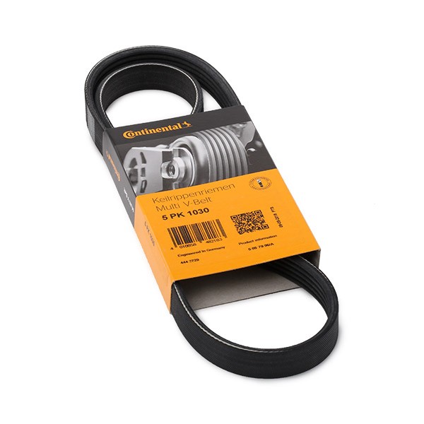 CONTITECH Keilrippenriemen OPEL,FIAT,PEUGEOT 5PK1030 24466972,FS0515907,FS1115907A Rippenriemen 5PK1029,5PK1031,9201722,128276471030,24435940,6453CZ CONTITECH Keilrippenriemen OPEL,FIAT,PEUGEOT 5PK1030 24466972,FS0515907,FS1115907A Rippenriemen 5PK1029,5PK1031,9201722,128276471030,24435940,6453CZ von CONTITECH