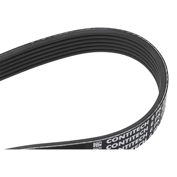 CONTITECH Keilrippenriemen VW,AUDI,FORD 6PK1264 6PK1263,6PK1265,6PK1266 Rippenriemen 6960612,948F6C301AB,066145933K,022145933H,6PK1262,252122B740 CONTITECH Keilrippenriemen VW,AUDI,FORD 6PK1264 6PK1263,6PK1265,6PK1266 Rippenriemen 6960612,948F6C301AB,066145933K,022145933H,6PK1262,252122B740 von CONTITECH