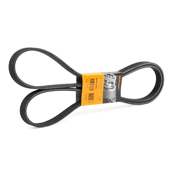 CONTITECH Keilrippenriemen MERCEDES-BENZ 6DPK2215 6DPK2217,0029934396,0039933396 Rippenriemen A0029934396,A0039933396,6DPK2213,6DPK2214,6DPK2216 CONTITECH Keilrippenriemen MERCEDES-BENZ 6DPK2215 6DPK2217,0029934396,0039933396 Rippenriemen A0029934396,A0039933396,6DPK2213,6DPK2214,6DPK2216 von CONTITECH