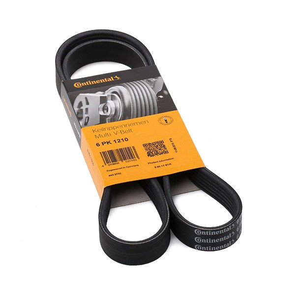 CONTITECH Keilrippenriemen RENAULT,HYUNDAI,PEUGEOT 6PK1210 1340015,5750QL,2521204600 Rippenriemen 2521204531,2521204532,11720ET00A,9091602606 CONTITECH Keilrippenriemen RENAULT,HYUNDAI,PEUGEOT 6PK1210 1340015,5750QL,2521204600 Rippenriemen 2521204531,2521204532,11720ET00A,9091602606 von CONTITECH