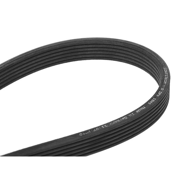 CONTITECH Keilrippenriemen VOLVO 6DPK1841 6DPK1839,6DPK1840,6DPK1843 Rippenriemen 9471799,6DPK1841,6DPK1842,30731808,30731861,9458376,9471981 CONTITECH Keilrippenriemen VOLVO 6DPK1841 6DPK1839,6DPK1840,6DPK1843 Rippenriemen 9471799,6DPK1841,6DPK1842,30731808,30731861,9458376,9471981 von CONTITECH