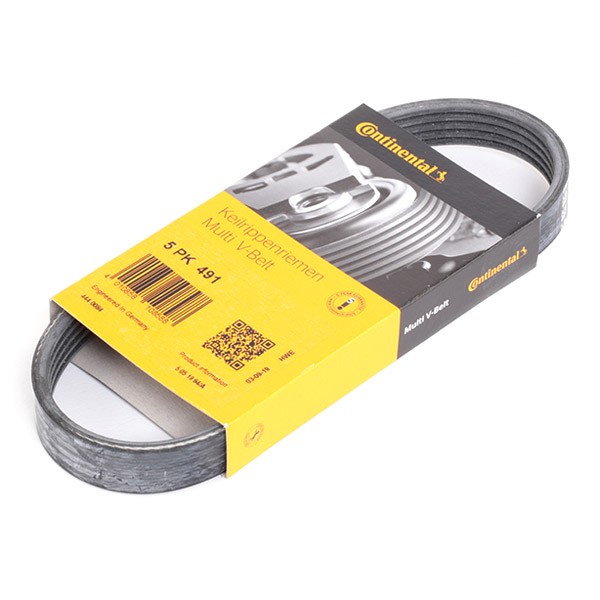 CONTITECH Keilrippenriemen VW,AUDI,SKODA 5PK491 03C145933A,5PK490,5PK491 Rippenriemen 5PK492,5PK493,5PK495 CONTITECH Keilrippenriemen VW,AUDI,SKODA 5PK491 03C145933A,5PK490,5PK491 Rippenriemen 5PK492,5PK493,5PK495 von CONTITECH