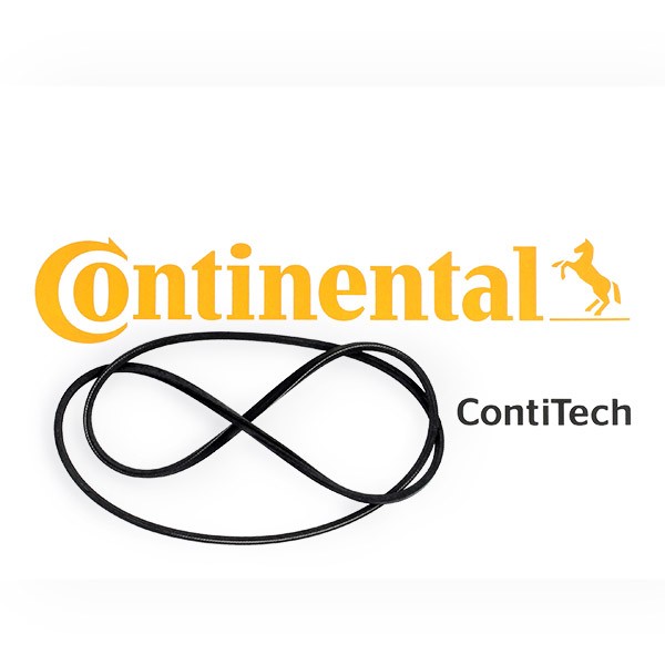 CONTITECH Keilrippenriemen VW,SEAT 2PJ800 1HO119137,2PJ800,357119137E Rippenriemen 1H0119137 CONTITECH Keilrippenriemen VW,SEAT 2PJ800 1HO119137,2PJ800,357119137E Rippenriemen 1H0119137 von CONTITECH