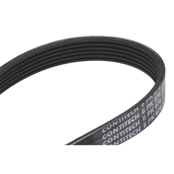 CONTITECH Keilrippenriemen VW,FORD,SEAT 6PK976 037903137C,9642383980,9682237380 Rippenriemen 5750FV,5750YQ,1612162380,5750VN,037903137F,037903137G CONTITECH Keilrippenriemen VW,FORD,SEAT 6PK976 037903137C,9642383980,9682237380 Rippenriemen 5750FV,5750YQ,1612162380,5750VN,037903137F,037903137G von CONTITECH