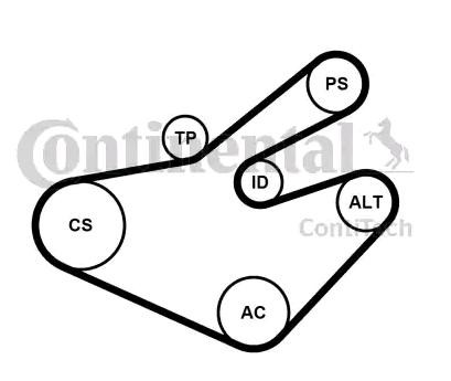 CONTITECH Keilrippenriemensatz OPEL,RENAULT,NISSAN 7PK1795K1 4405279,7701475193,9121112 7PK1795,09121112 CONTITECH Keilrippenriemensatz OPEL,RENAULT,NISSAN 7PK1795K1 4405279,7701475193,9121112 7PK1795,09121112 von CONTITECH
