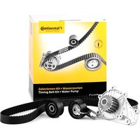 CONTITECH Wasserpumpe + Zahnriemensatz Zähnez.: 137 CT1092WP1 Wasserpumpe + Zahnriemenkit FORD,FIAT,PEUGEOT,Fiesta Mk6 Schrägheck (JA8, JR8) CONTITECH Wasserpumpe + Zahnriemensatz Zähnez.: 137 CT1092WP1 Wasserpumpe + Zahnriemenkit FORD,FIAT,PEUGEOT,Fiesta Mk6 Schrägheck (JA8, JR8) von CONTITECH