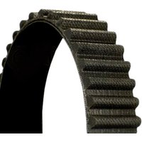 CONTITECH Zahnriemen Zähnez.: 173 CT1158 Steuerriemen CONTITECH Zahnriemen Zähnez.: 173 CT1158 Steuerriemen von CONTITECH