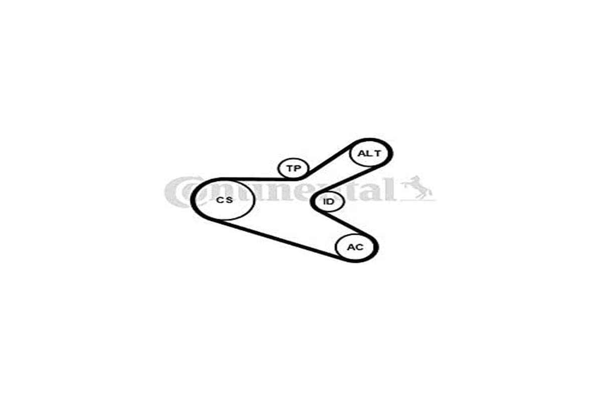 Contitech 6PK1153K2 Keilriemen, mehrfarbig Contitech 6PK1153K2 Keilriemen, mehrfarbig von CONTITECH