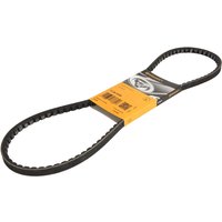 Keilrippenriemen CONTINENTAL 11,9X1036Ld von Contitech
