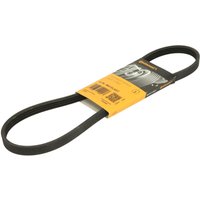 Keilrippenriemen CONTINENTAL 4PK860 ELAST Keilrippenriemen CONTINENTAL 4PK860 ELAST von Contitech