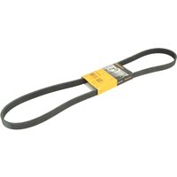 Keilrippenriemen CONTINENTAL 6 PK 1360 Keilrippenriemen CONTINENTAL 6 PK 1360 von Contitech