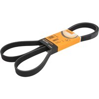 Keilrippenriemen CONTINENTAL 6PK1815 von Contitech