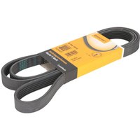 Keilrippenriemen CONTINENTAL 6PK1915 von Contitech