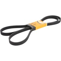 Keilrippenriemen CONTINENTAL 6PK2285 von Contitech