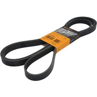 Keilrippenriemen CONTINENTAL 6PK2870 Keilrippenriemen CONTINENTAL 6PK2870 von Contitech
