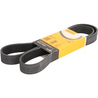 Keilrippenriemen CONTINENTAL 8PK1371 Keilrippenriemen CONTINENTAL 8PK1371 von Contitech