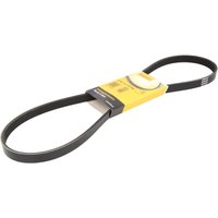 Keilrippenriemen CONTINENTAL 5PK1121 EXTRA von Contitech