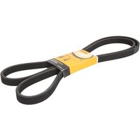 Keilrippenriemen CONTINENTAL 6DPK2215 Keilrippenriemen CONTINENTAL 6DPK2215 von Contitech