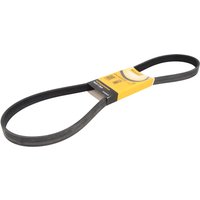 Keilrippenriemen CONTINENTAL 6PK1240 ELAST von Contitech