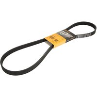 Keilrippenriemen CONTINENTAL 6PK1264 von Contitech