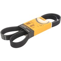 Keilrippenriemen CONTINENTAL 7PK1377 Keilrippenriemen CONTINENTAL 7PK1377 von Contitech