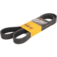 Keilrippenriemen CONTINENTAL 8PK1390 von Contitech