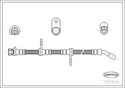 Corteco Bremsschlauch ERSTAUSRÜSTERQUALITÄT [Hersteller-Nr. 19018939] für Honda, Mg, Rover von CORTECO