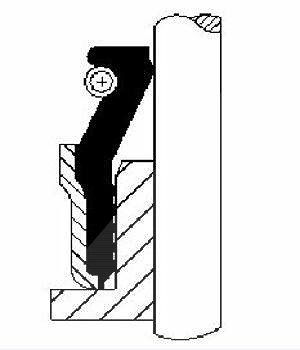 Corteco Dichtring, Ventilschaft [Hersteller-Nr. 49472890] für Lexus, Toyota von CORTECO