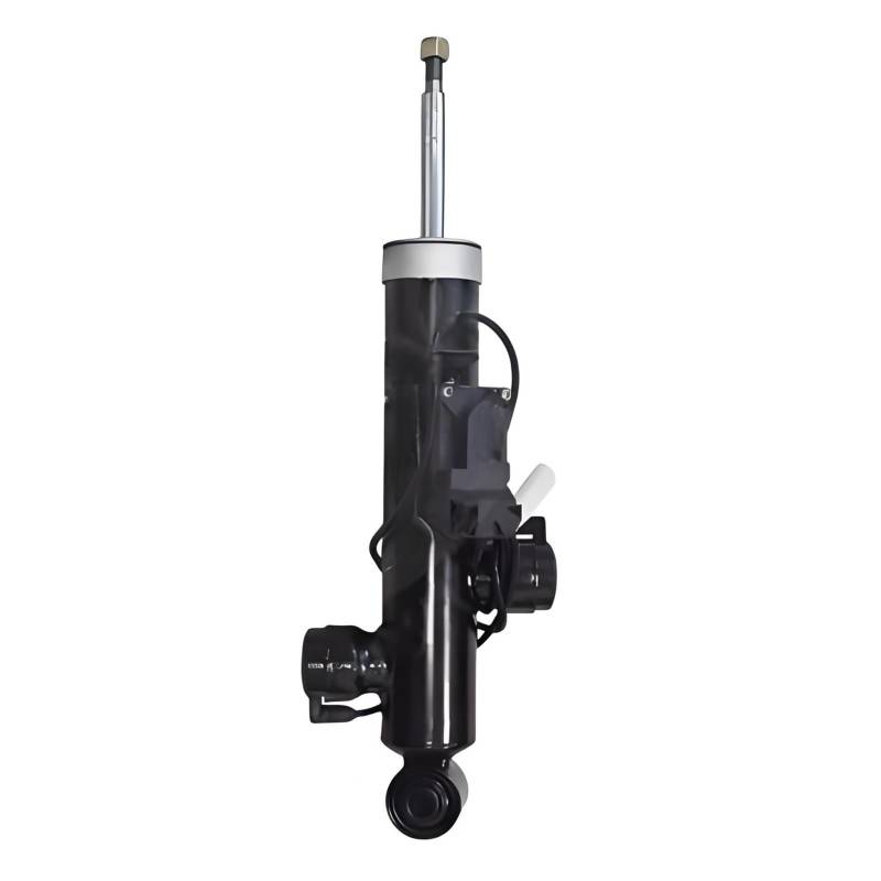CQLJY 37116791672, 37116863148 1 STÜCKE Vordere Stoßdämpfer oder Hintere Stoßdämpfer mit elektronischem EDC, kompatibel for BMW 5er F10 F11 2009-2017, Hintere Federbeine, Vordere Federbeine(REAR LEFT) von CQLJY