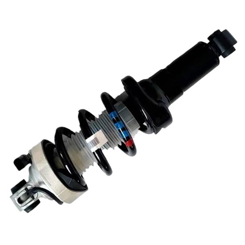 CQLJY 420512019M, 420512019AE 1 Stück Luftfederung vorne Stoßdämpfer oder hinten Stoßdämpfer kompatibel for Audi R8 2007-2015, Hintere Streben, Vordere Streben(Front Left) von CQLJY