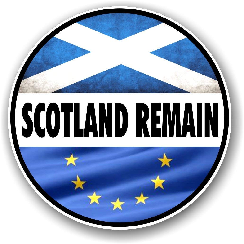 Doppelpack von ' Schottland REMAIN ' Motto-design für Schottland Schottische Flagge EU europäisch Union Referendum Brexit Kampagne Vinyl Auto Autoaufkleber Abziehbild 80x80mm jede von CT Design