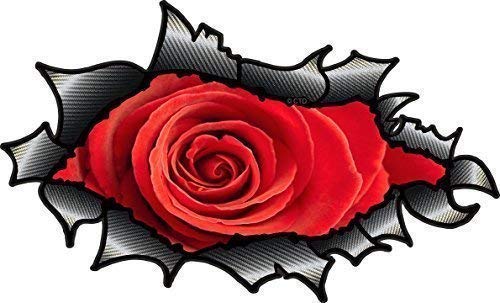 Oval Ripped offen Torn Karbonfaser, Carbonfaser-Effekt Design mit wunderschönen rot Rose Motiv Auto-Aufkleber Vinyl 150x 90mm von CT Design