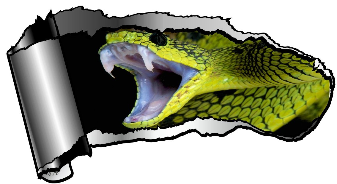 Große Neuheit Torn Ripped Offene Gash Metall Effekt Auto Aufkleber Aufkleber zu enthüllen kräftigen Schlange Python Cobra Venom Design 195 x 105 mm von CTD
