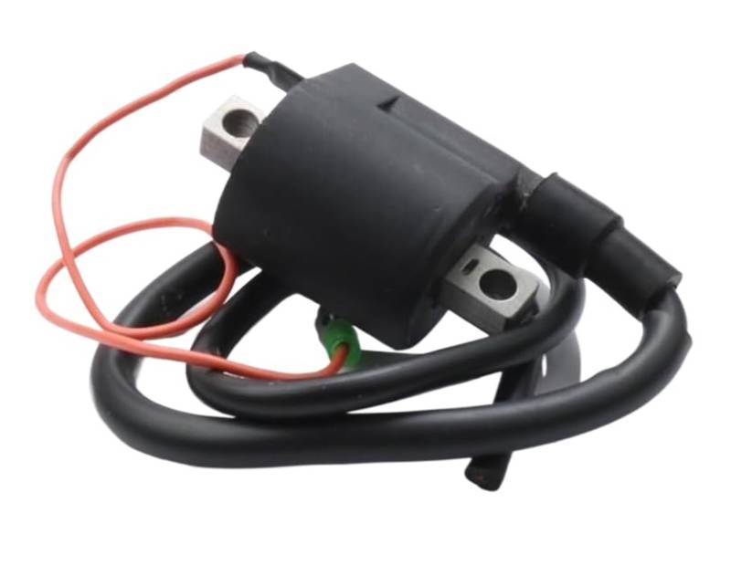 CXXSW [Replacement] Leistungszündspule, kompatibel mit 50 50 50S, 50ccm Modelle 2002-2011, 4VP-H2310-01-STANDARD von CXXSW