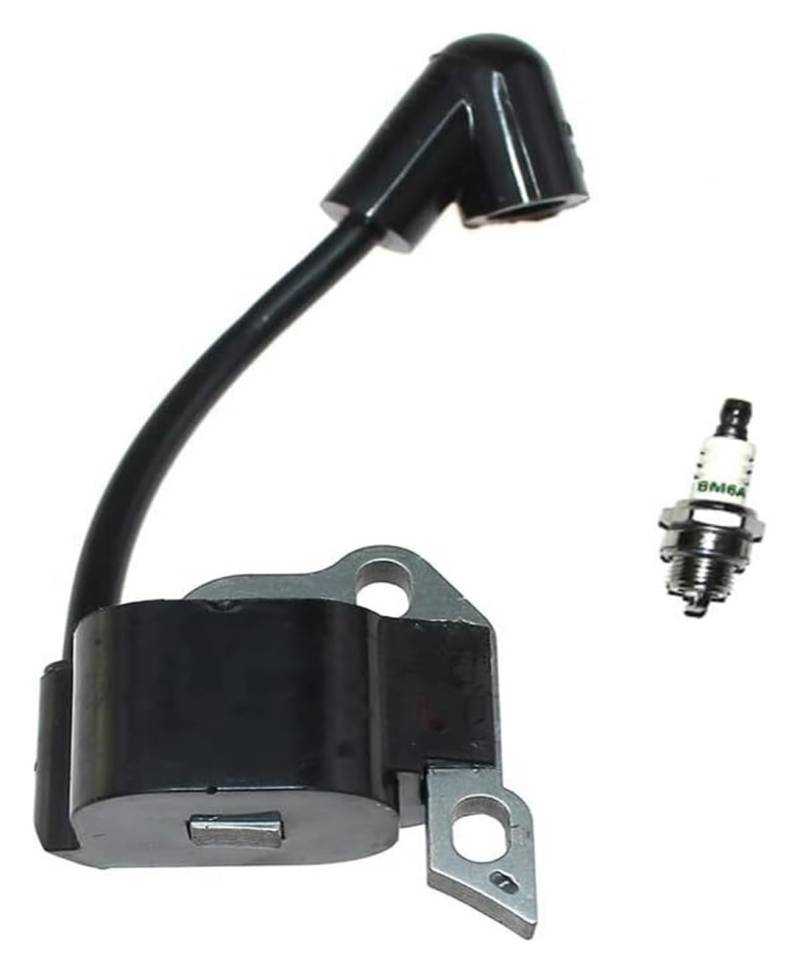 CXXSW [Replacement] Zündspulenmodul, Schwarz for Rybi, RY10519A, RY10519B, RY10520, RY10521, RY10521A, 309261001, 309261003, 309261004, YEAACLAB123-Schwarz von CXXSW