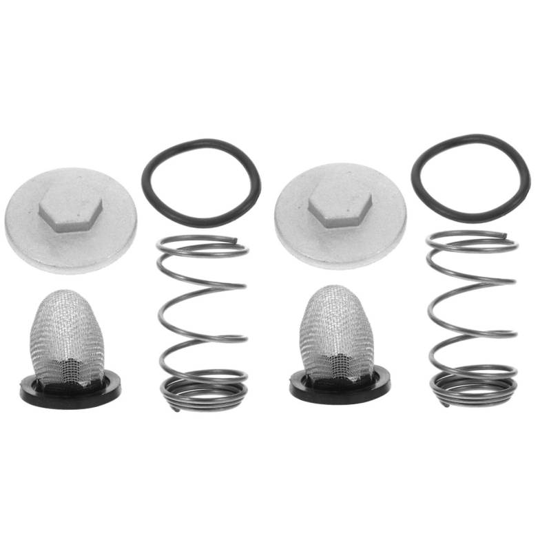 Cabilock 2 Stück Scooter-zubehör Ölfilter Benzinfilter Für Motorräder Roller-benzinfilter Motorradfilter Scooter-gasfilter Silber Eisen von Cabilock