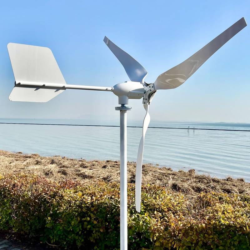 1000W Windkraftanlage 24V 48V, Horizontale Windturbine, 1KW Windgenerator mit MPPT-Controller zur Batterieladung, Off-Grid Windmühle (Ohne Mast) (48, Volt) von Cadinor