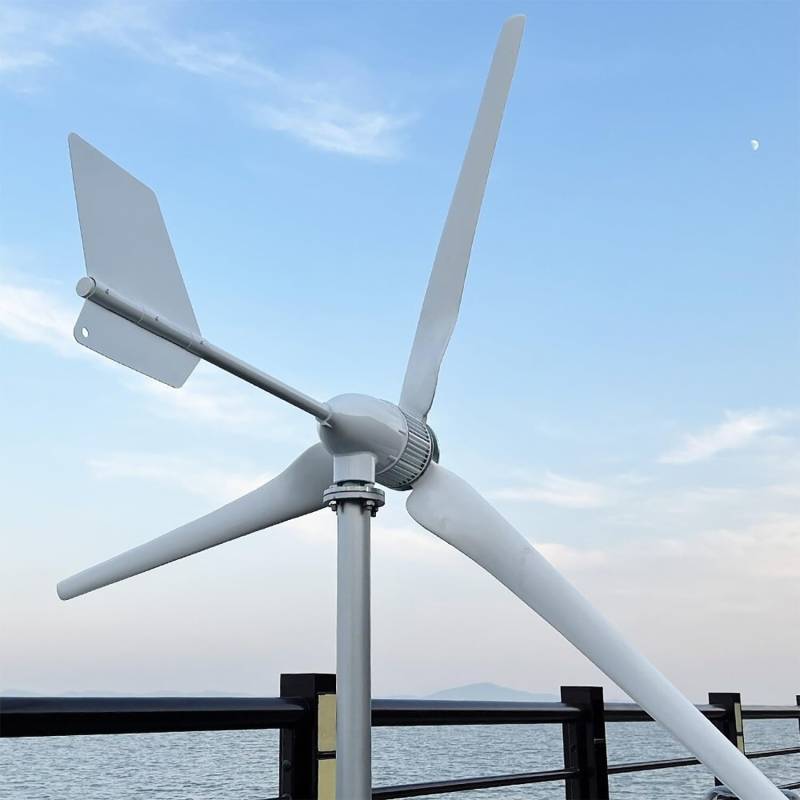 2000W Windkraftanlage, 24V 48V 96V, Hochleistungs-Windgenerator mit MPPT-Controller, 3-Blatt-Windturbine für nachhaltige Energiegewinnung (mit MPPT Controller, 24) von Cadinor